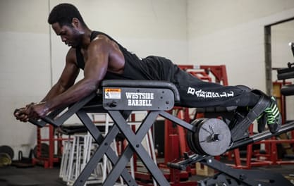 Reverse hyper machine westside barbell online